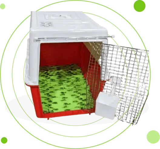 vet bedding for cats and dogs